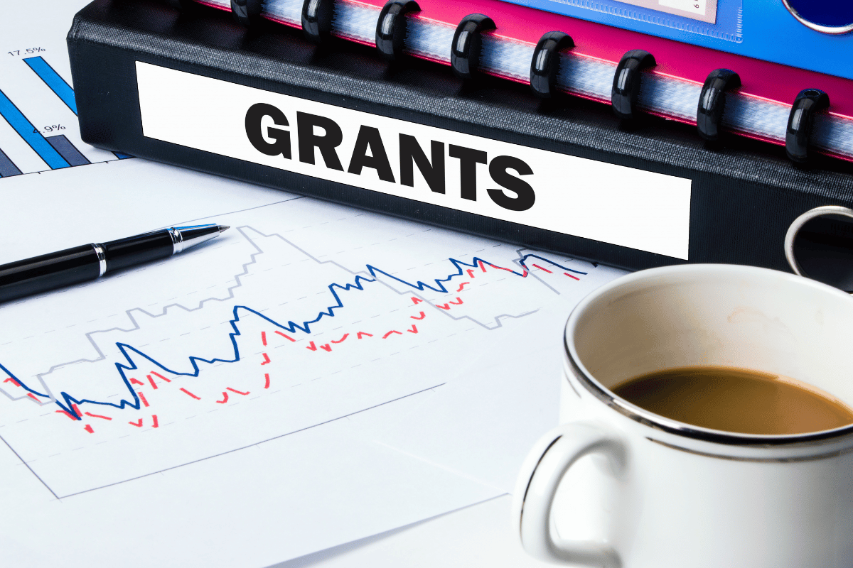 What renovation grants usually support
