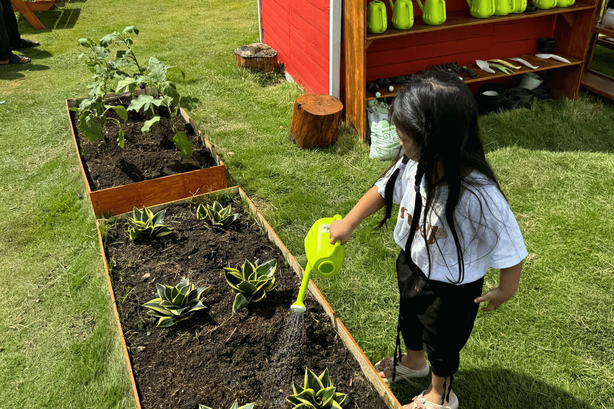 mulched garden beds edge