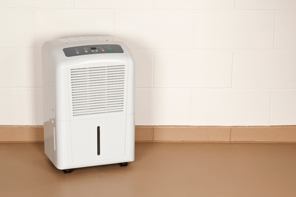 basement dehumidifier modern basement setup
