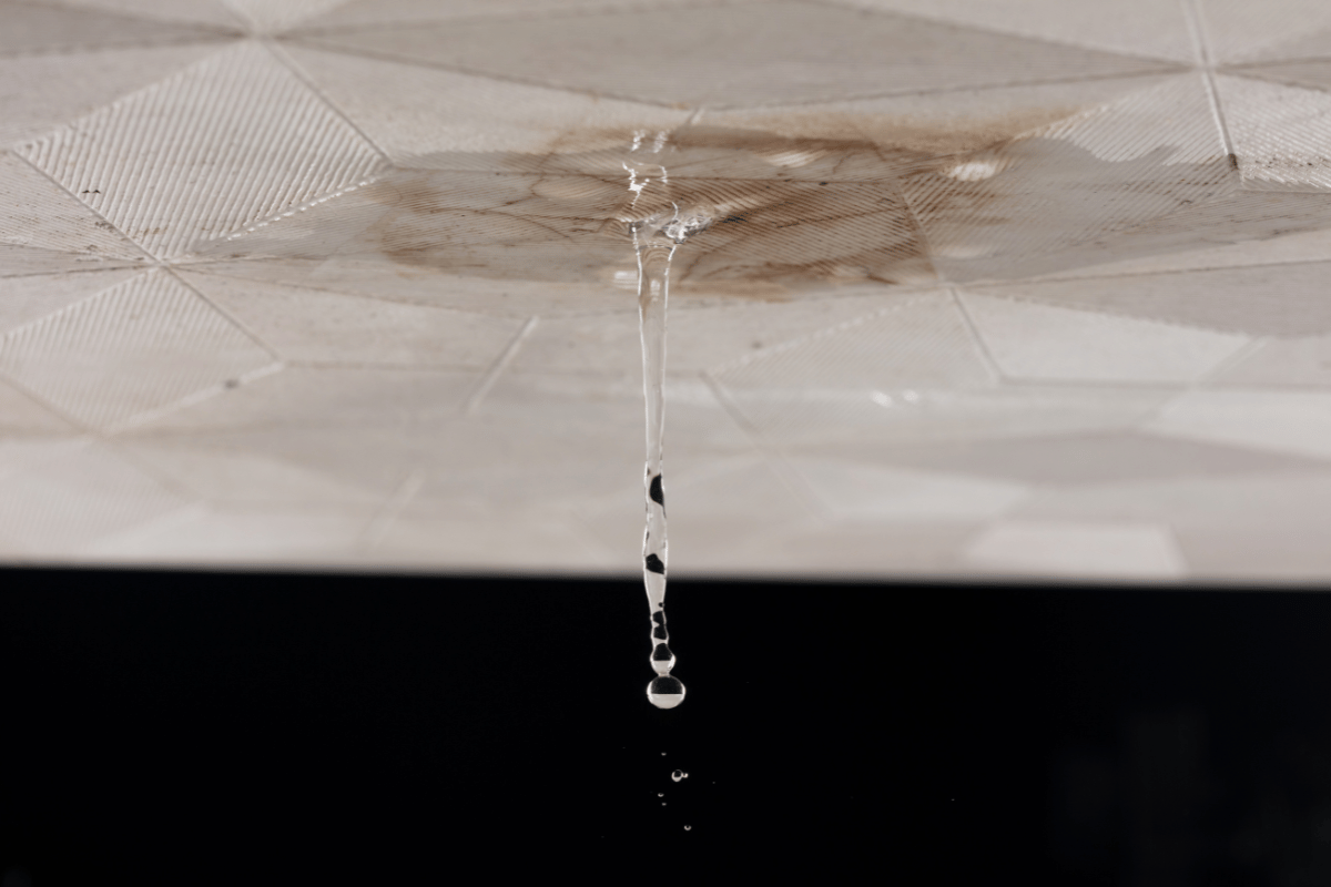 bathroom moisture damage mould ceiling leak