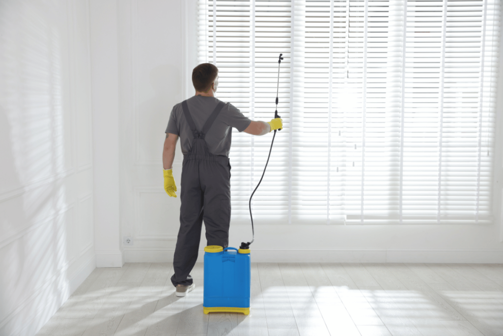 renovation dust cleaning house