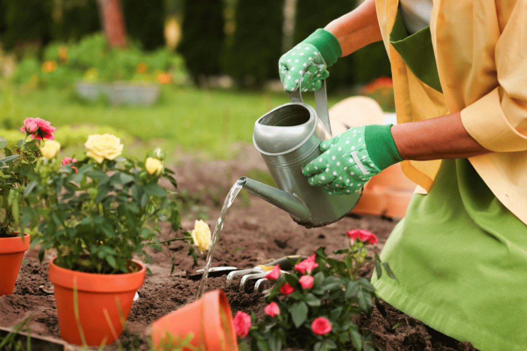 Use Gravel and Mulch Instead of Expensive Materials